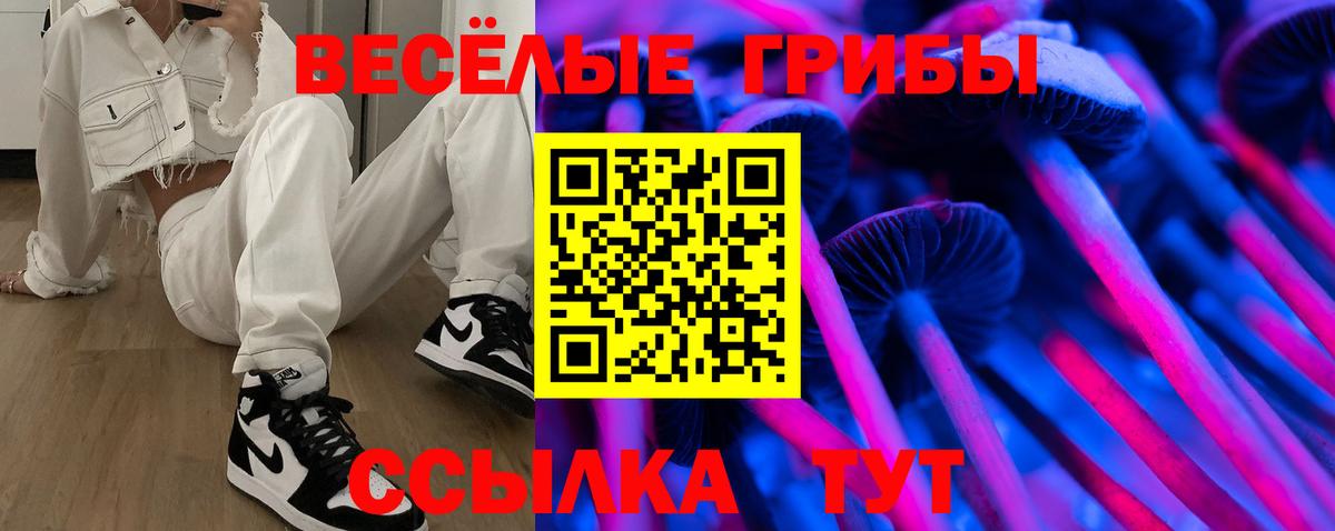 Галлюциногенные грибы Cubensis Карабулак